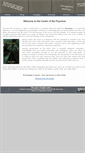 Mobile Screenshot of centreofthepsyclone.com